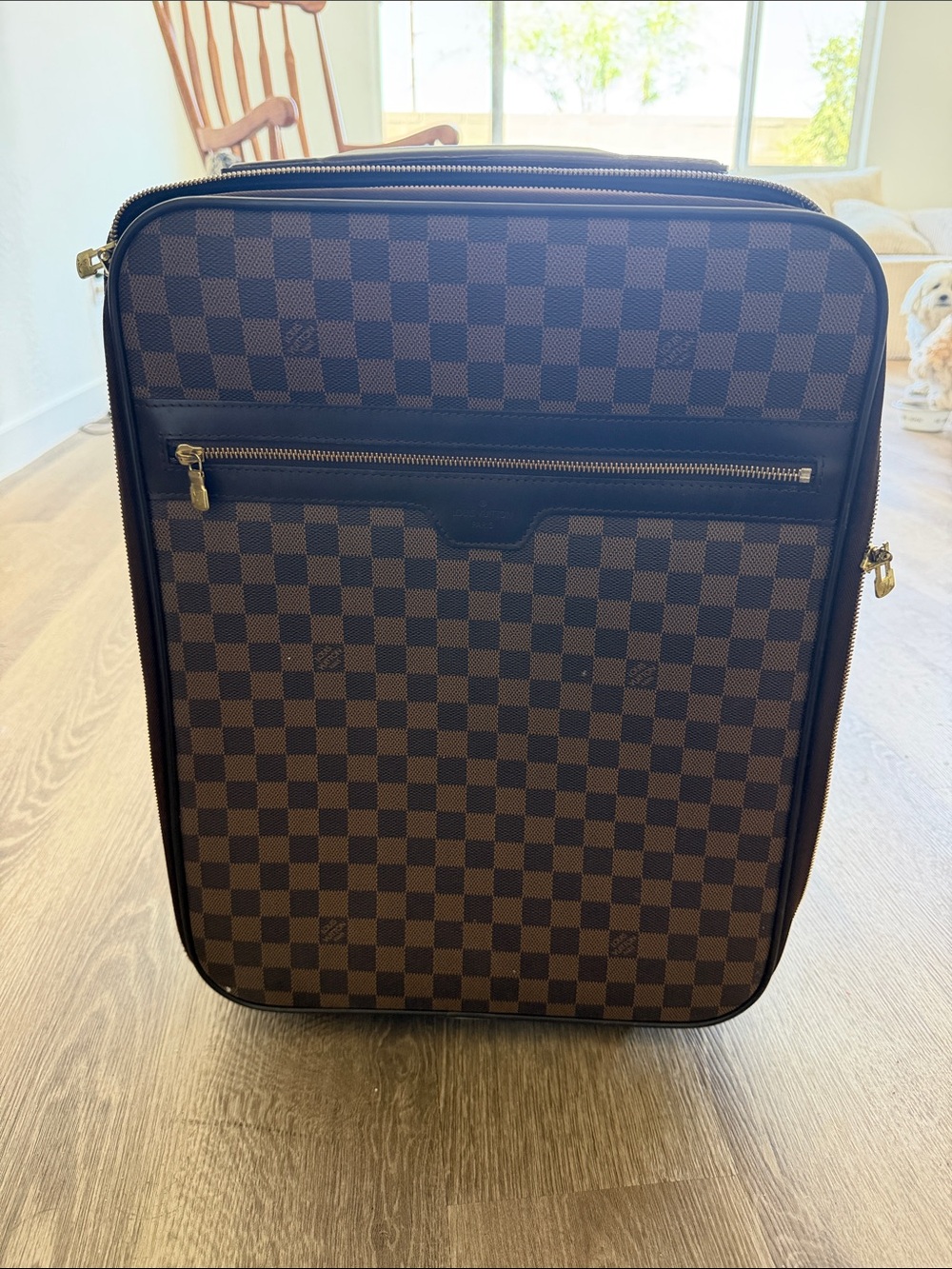 Luis Vuitton suitcase